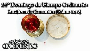 Antífona de Comunión – 24º TO (Salmo 35, 8)